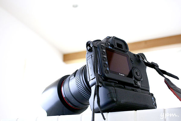 img1_490.JPG